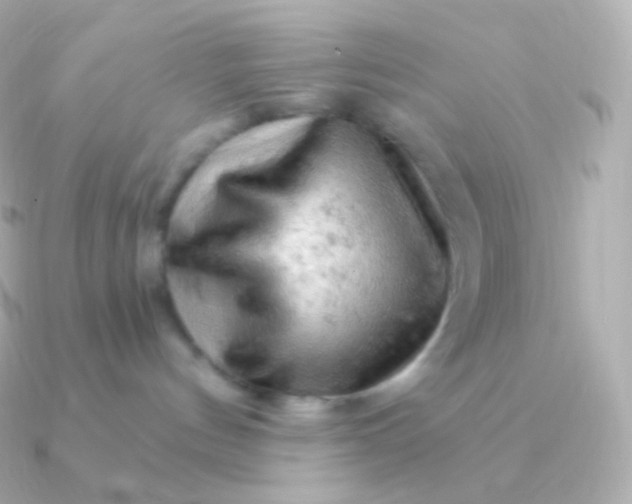 X0000090890144200708101409