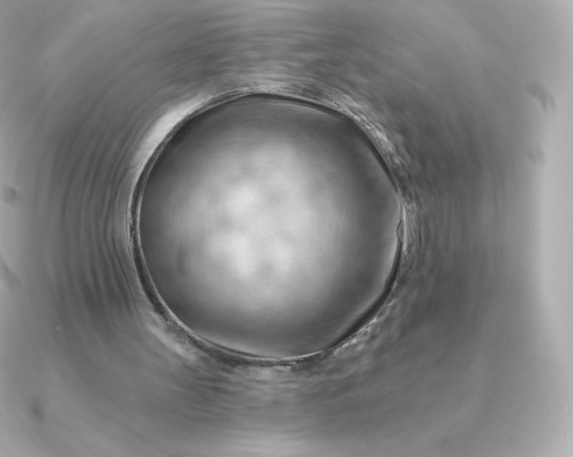 X0000090890147200708101408