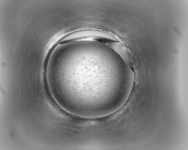 X0000090890152200708101408