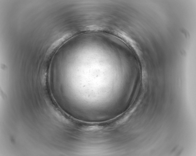 X0000090890153200708101408