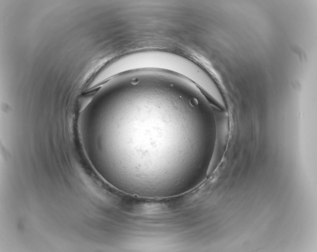 X0000090890154200708101408