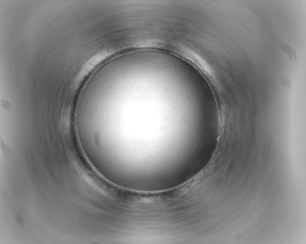 X0000090890155200708101408