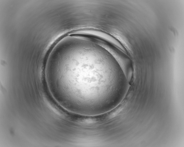 X0000090890156200708101408