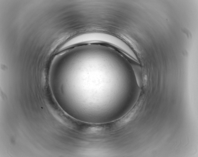 X0000090890158200708101408