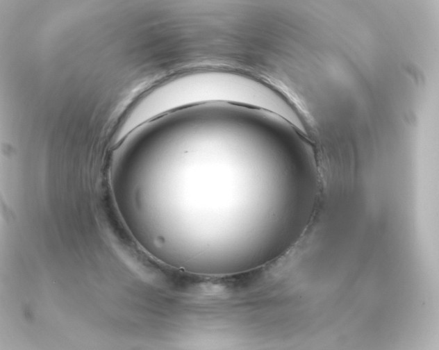 X0000090890159200708101408