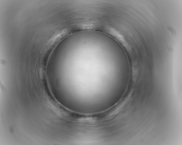 X0000090890161200708101408