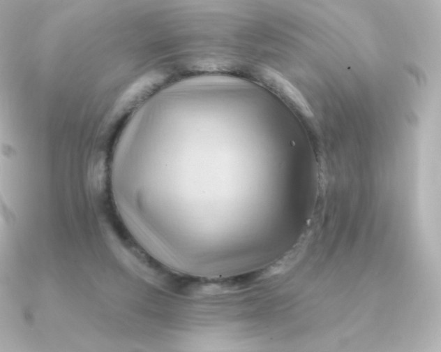 X0000090890163200708101408