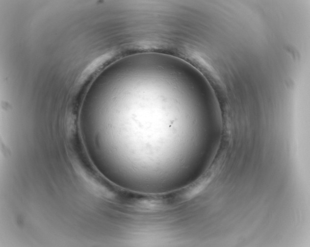 X0000090890164200708101408