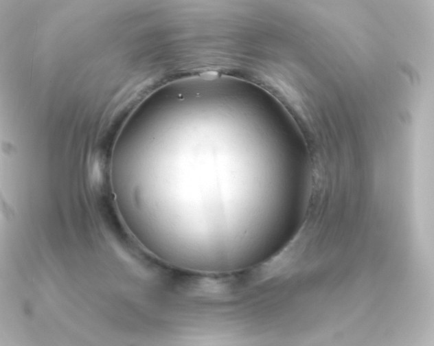 X0000090890166200708101408