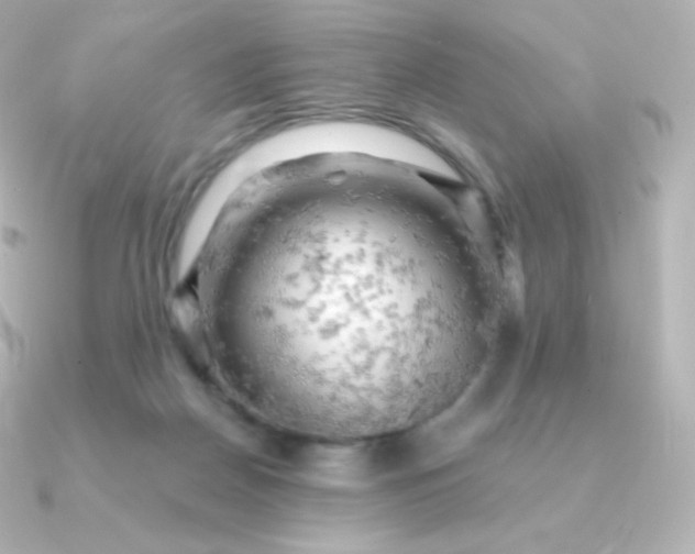 X0000090890170200708101409