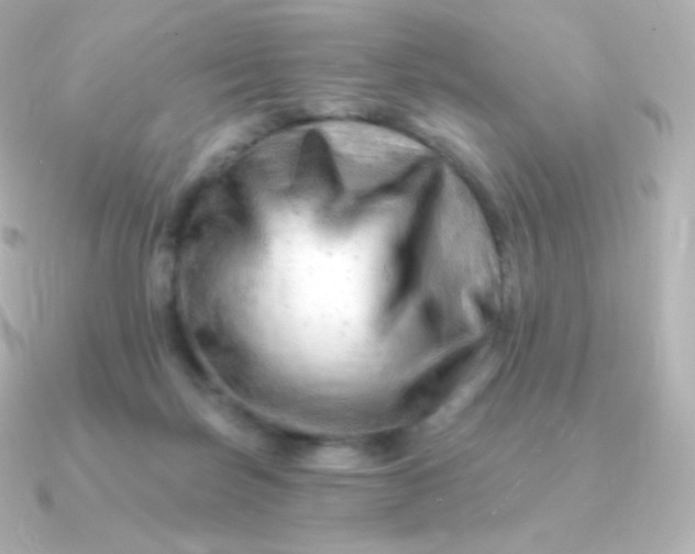 X0000090890171200708101409