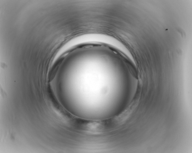 X0000090890172200708101409