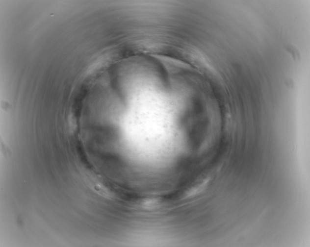 X0000090890173200708101409