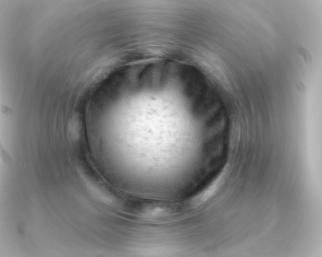 X0000090890174200708101409