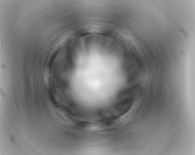 X0000090890175200708101409