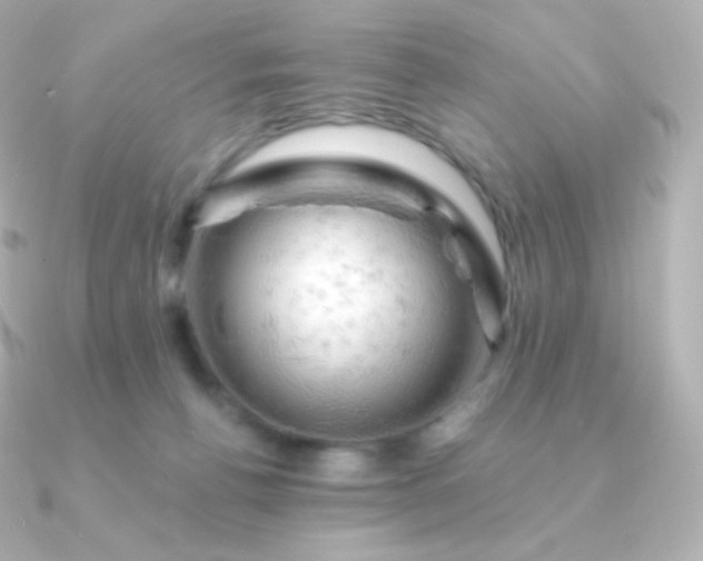 X0000090890176200708101409