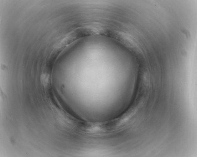 X0000090890177200708101409