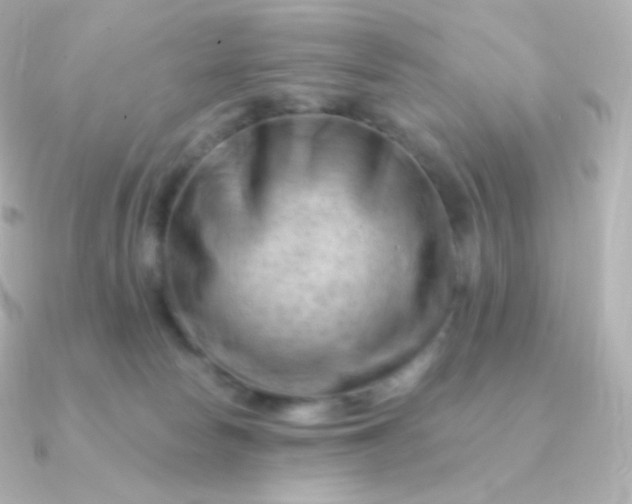 X0000090890178200708101409