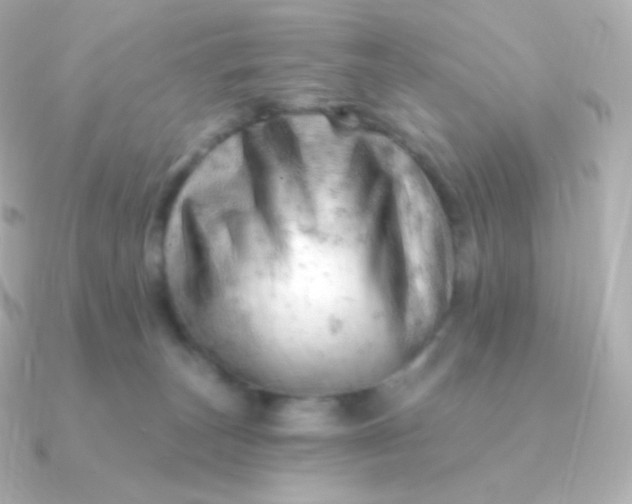 X0000090890179200708101409