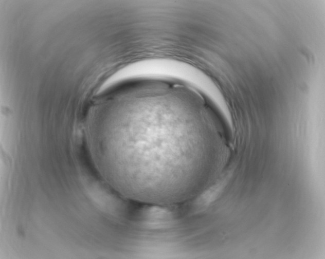 X0000090890180200708101409