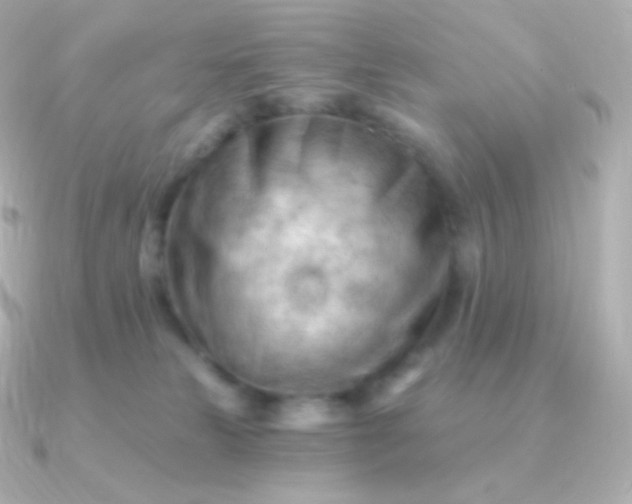 X0000090890181200708101409