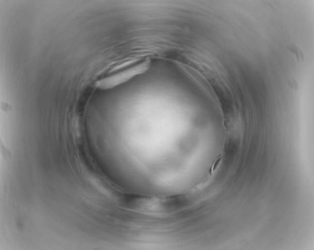 X0000090890182200708101409