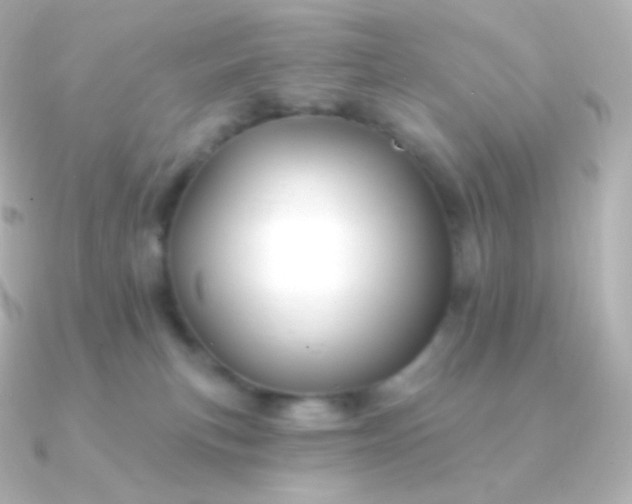 X0000090890183200708101409