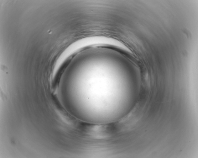 X0000090890184200708101409