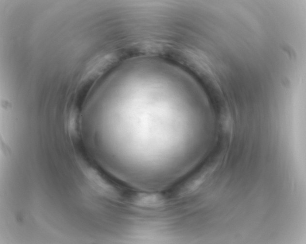 X0000090890185200708101409