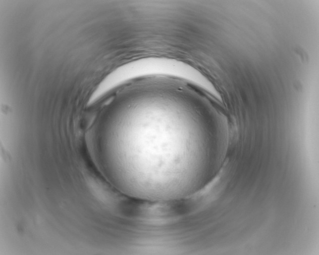 X0000090890186200708101409