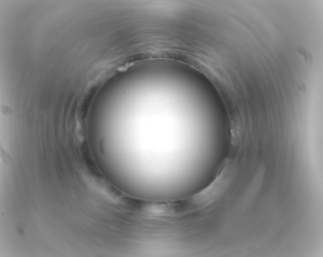 X0000090890187200708101409