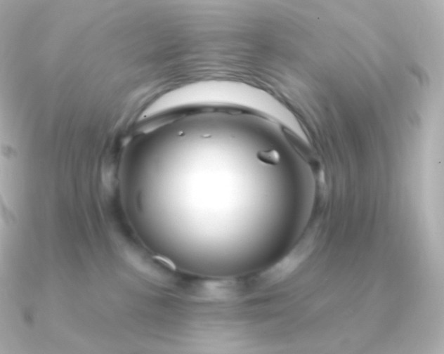 X0000090890188200708101409