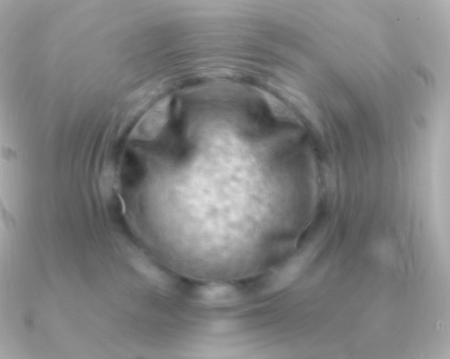 X0000090890189200708101409