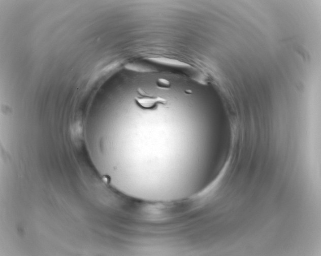 X0000090890190200708101409