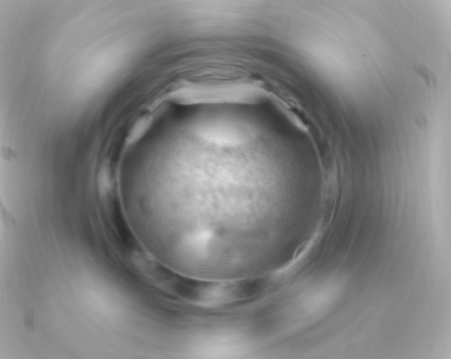 X0000090890191200708101409