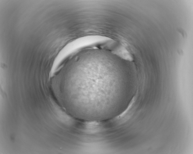 X0000090890192200708101409