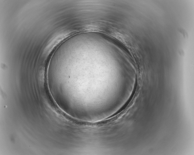 X0000090890194200708101408