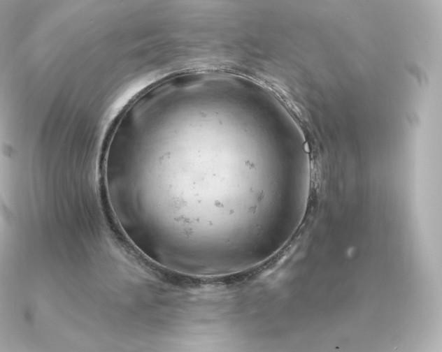 X0000090890196200708101408