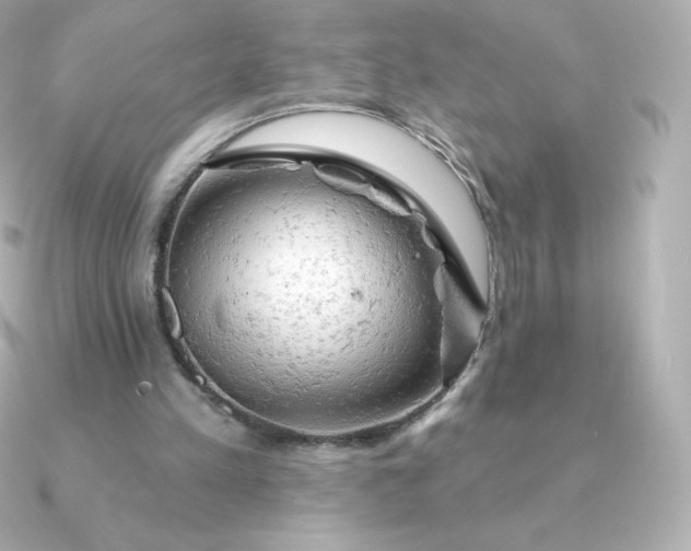 X0000090890197200708101408