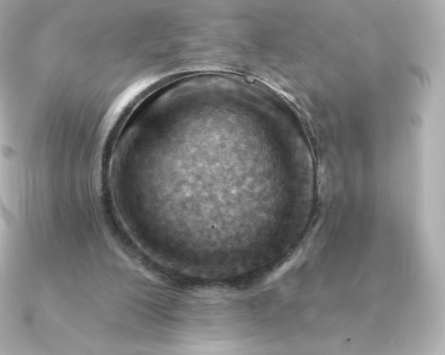 X0000090890200200708101408