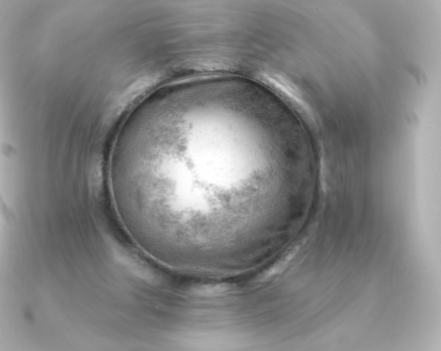 X0000090890202200708101408