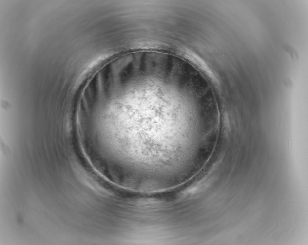 X0000090890203200708101408