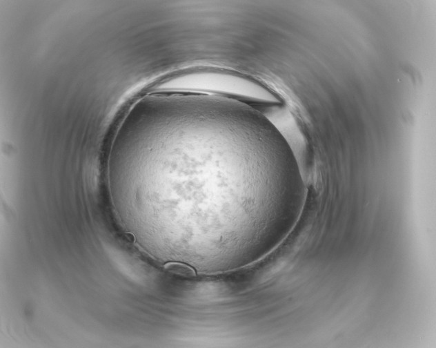 X0000090890204200708101408