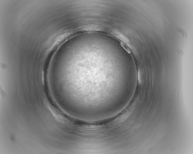 X0000090890205200708101408