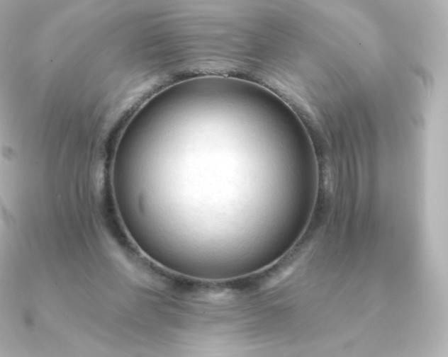 X0000090890206200708101408