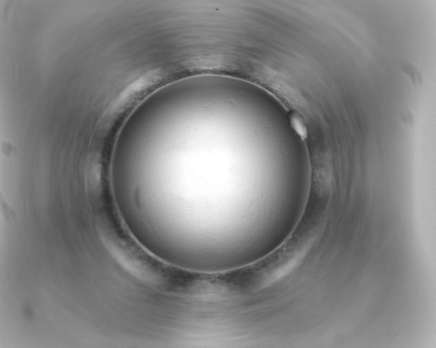 X0000090890207200708101408