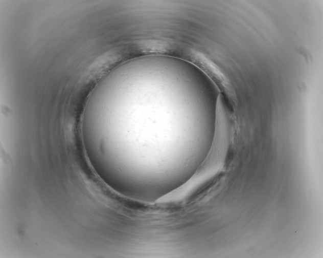 X0000090890209200708101408