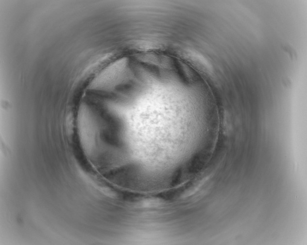 X0000090890210200708101408