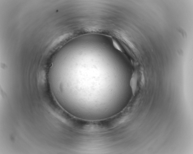 X0000090890211200708101408