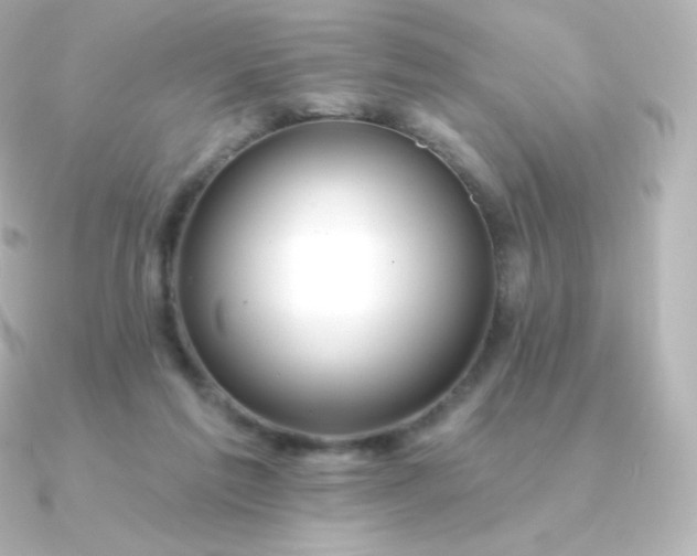 X0000090890213200708101408